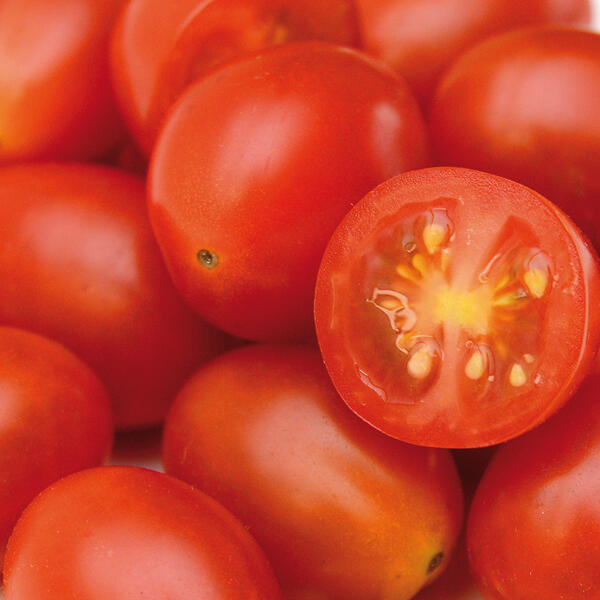 Premium Naschtomaten