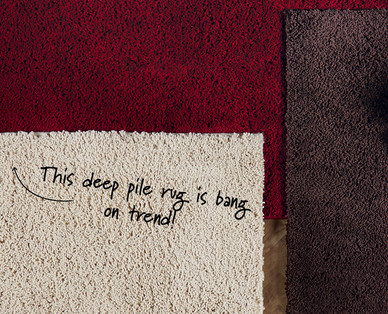Shaggy Rug