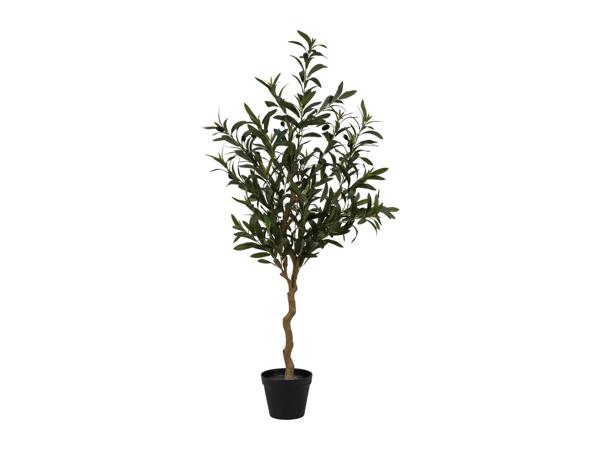 Livarno Home Artificial Olive Tree