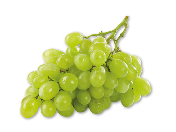 Grønne vindruer