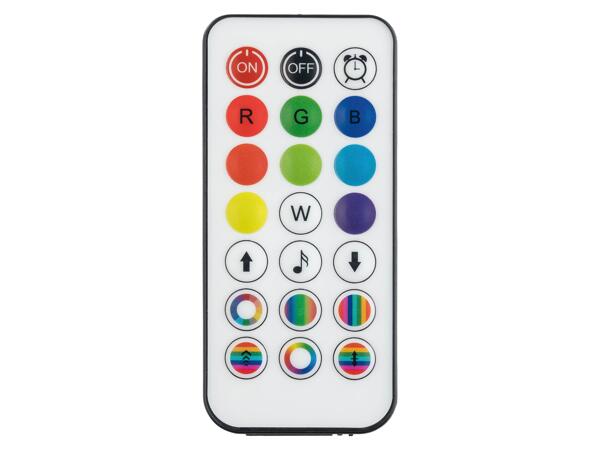 LED Floor Lamp with Audio Sensor