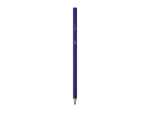 BIC Stationery Assortment