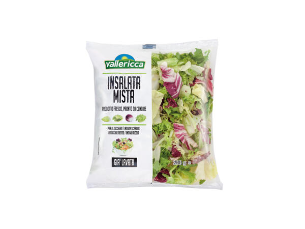 Mixed Salad