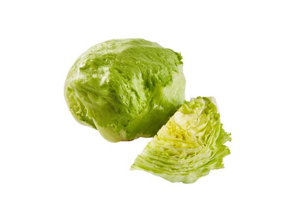 Lettuce Iceberg