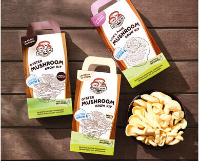Mushroom Growing Kits