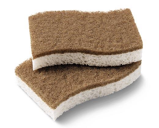 Radiance 
 Coconut Scour Pad or Walnut Scrub Sponge