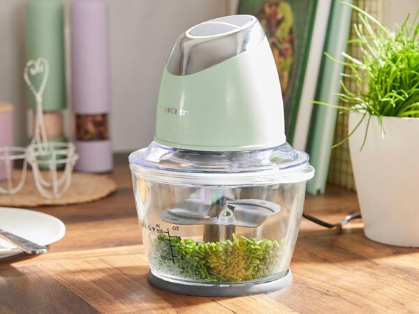 500W Mini Chopper