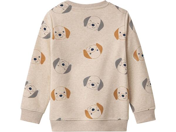 Boys' sweatshirt