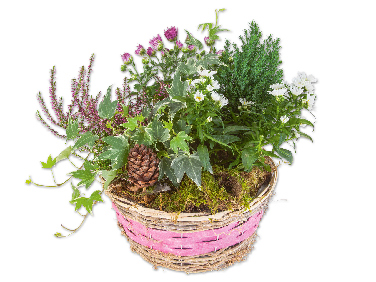Bepflanzter Herbstkorb