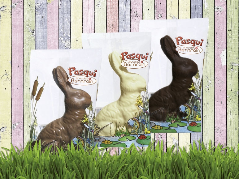 Lapin assis Pasqui