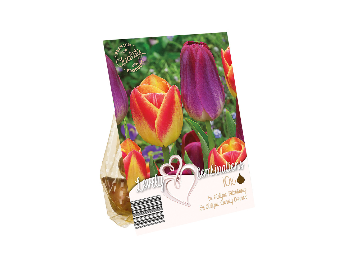 Colour Mix Bulbs1