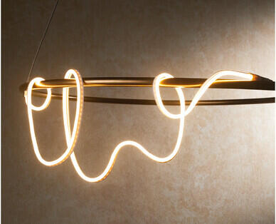 Neon Flex Light or Night Light