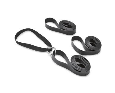 Sling Trainer or Pull-Up Assistor