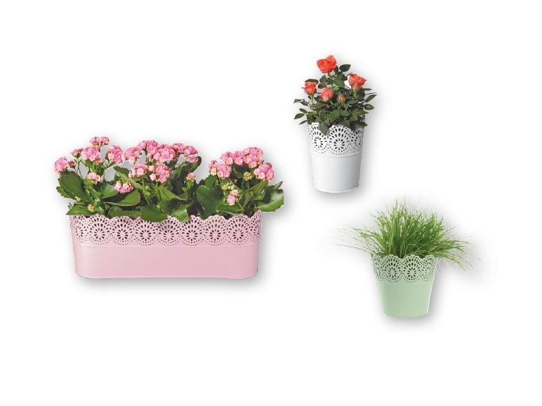 Florabest(R) Flower Pot