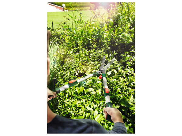 Extendable Hedge Shears