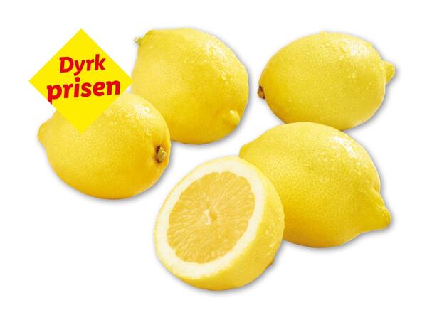 Økologiske citroner