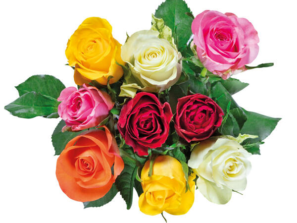 Fairtrade Rosenstrauß Kunterbunt