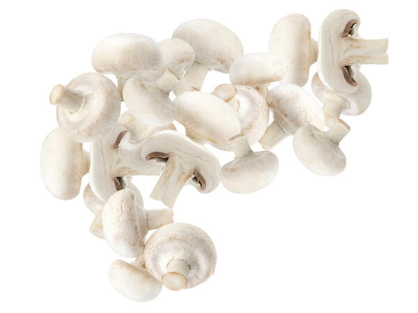Champignons weiß