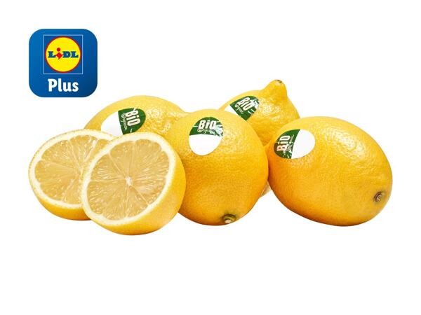 Citrons bio