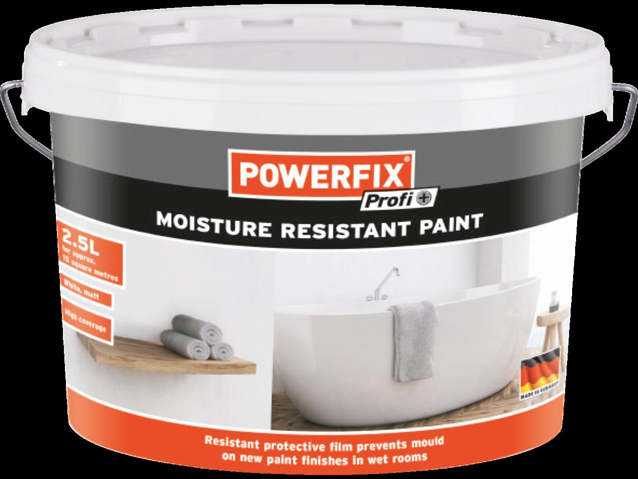 POWERFIX 2.5L Moisture Resistant Paint