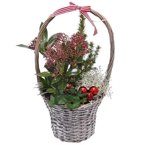 GARDENLINE Cestino invernale