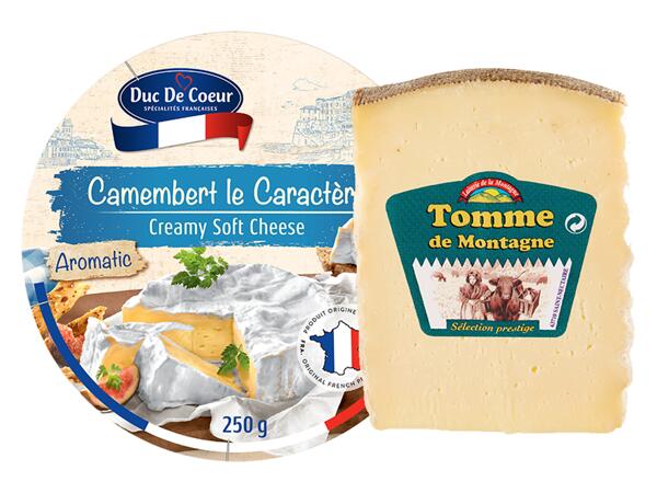 Camembert/ Tomme de Montagne