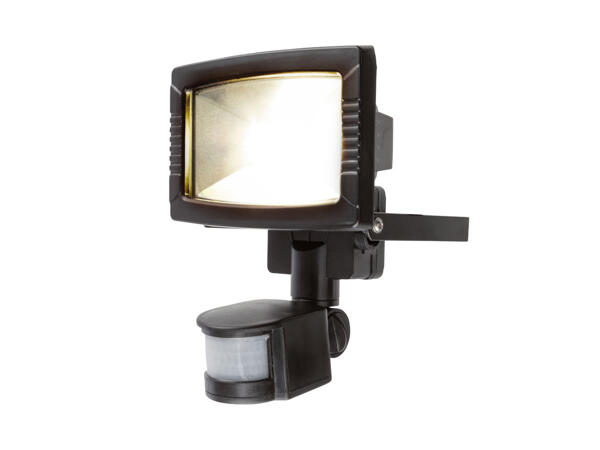LED Floodlight
