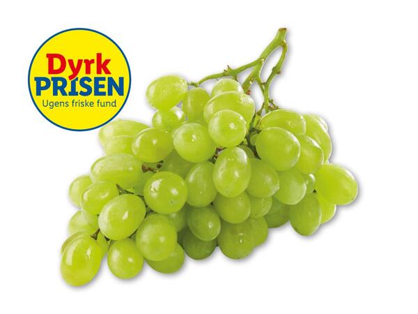 Grønne kernefri vindruer
