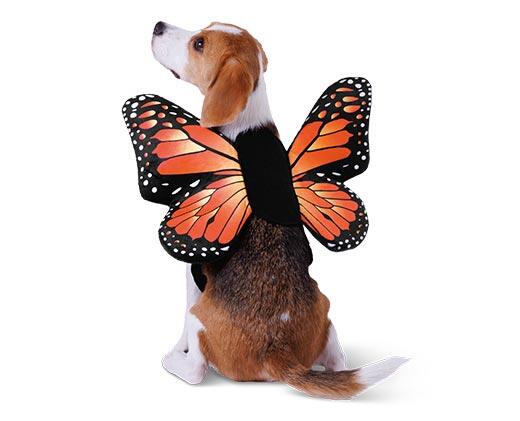 Heart to Tail Pet Halloween Costume