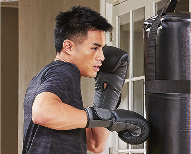 Boxing Gloves or Mitts