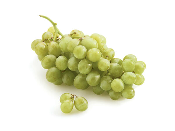 Raisins blancs sans pépins