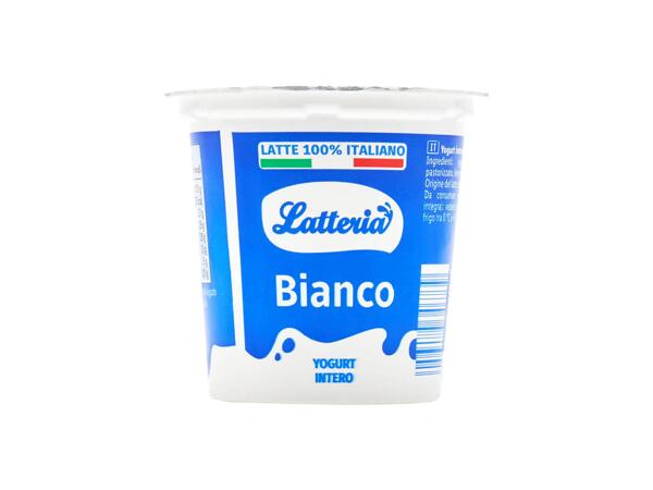 Whole milk white yogurt