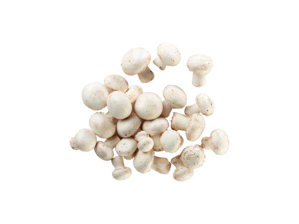 Mushrooms
