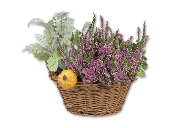 Bepflanzter Herbstkorb