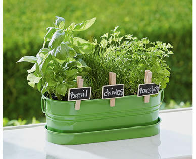All-in-one Windowsill Garden Kit