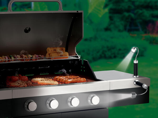 Barbecue Lights