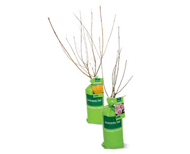 Gardenline Flowering Shrub