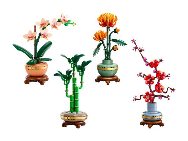 Fleurs modélisées