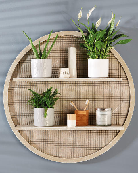 Bathroom Plant in Ceramic