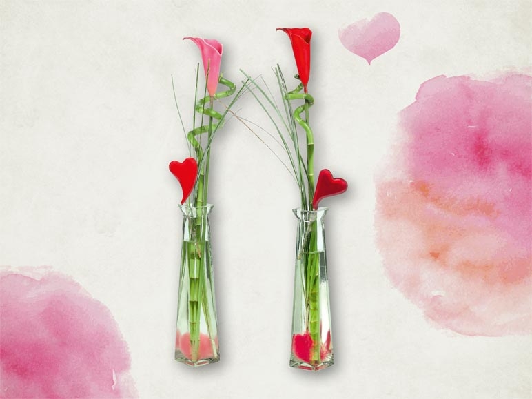 Calla dans un vase en verre (dès le 11.2)
