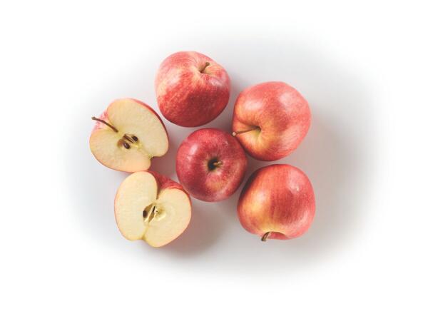 Royal Gala Apple