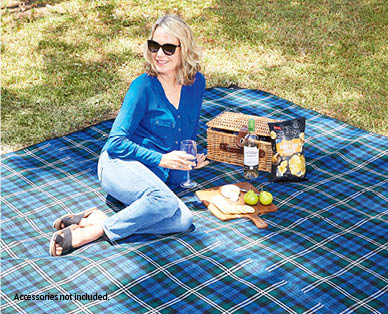 Family Picnic Rug