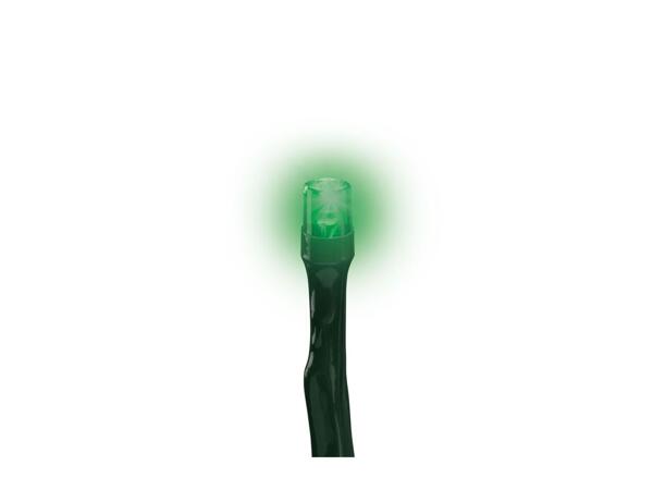 Livarno Home 50 LED String Lights