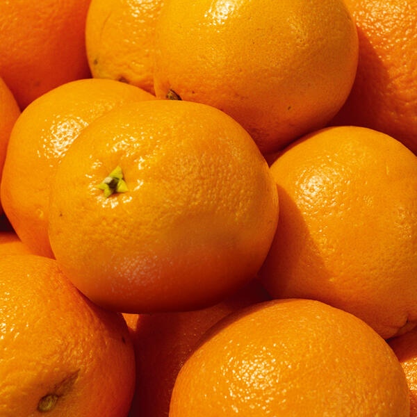 Orangen