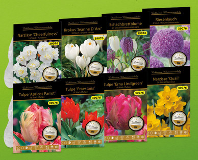 Exklusive Blumenzwiebeln