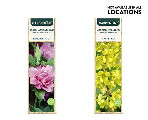 Gardenline 
 Ornamental Shrub Assorted Varieties