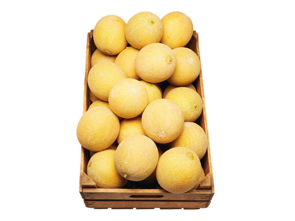 Galiamelon
