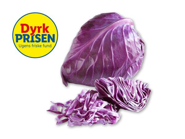 Dansk rød spidskål