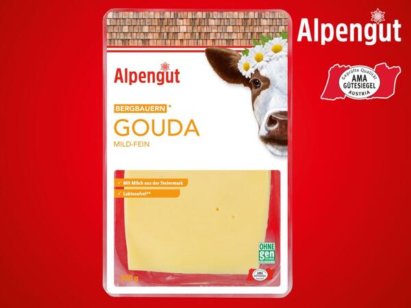 Bergbauern Gouda