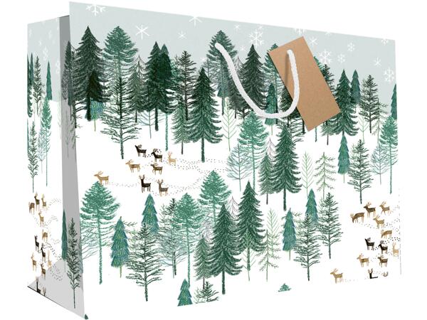 Large Gift Bag